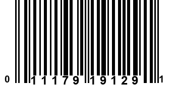 011179191291