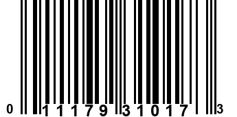 011179310173