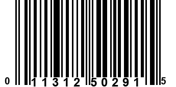 011312502915