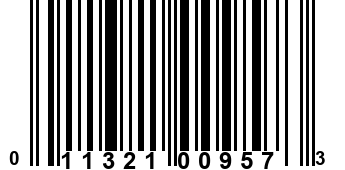 011321009573