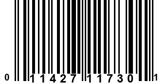 011427117301