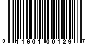 011601001297