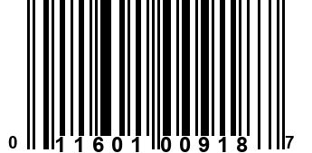 011601009187