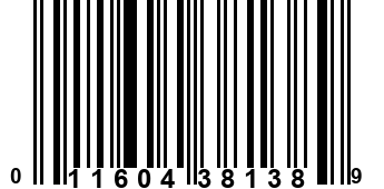 011604381389