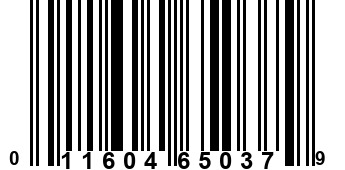 011604650379