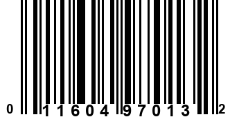 011604970132