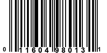 011604980131