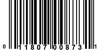 011807008731