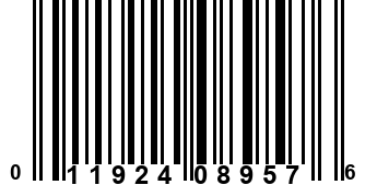 011924089576