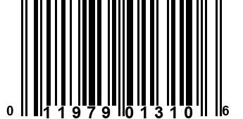 011979013106