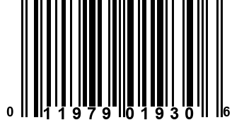 011979019306