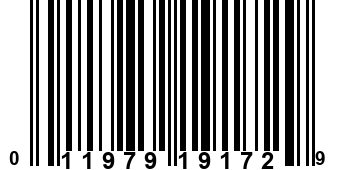 011979191729