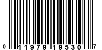 011979195307