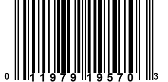 011979195703