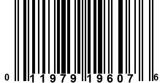 011979196076