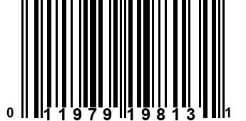 011979198131