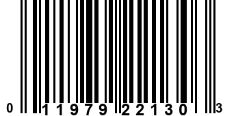 011979221303