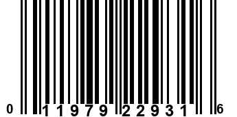 011979229316