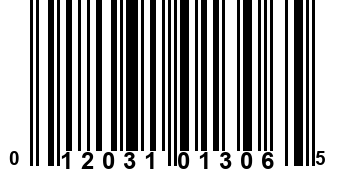 012031013065