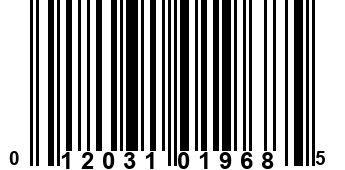 012031019685