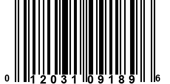 012031091896