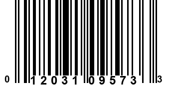 012031095733