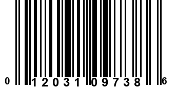 012031097386