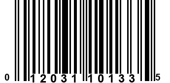 012031101335