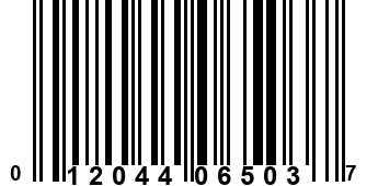 012044065037