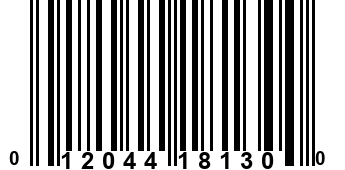 012044181300