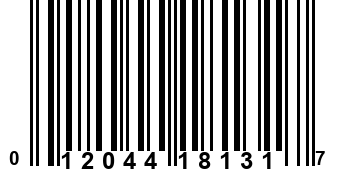 012044181317