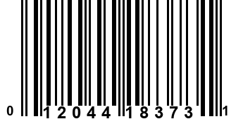 012044183731