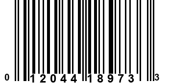 012044189733