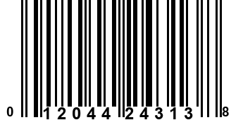 012044243138