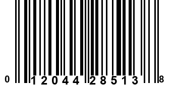 012044285138