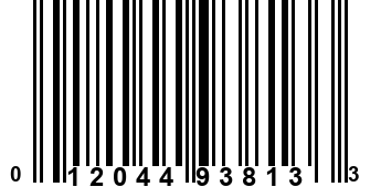 012044938133