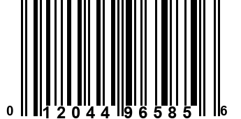 012044965856