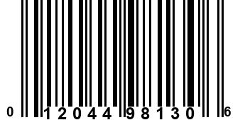 012044981306