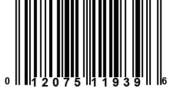 012075119396