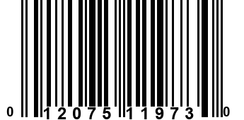 012075119730