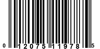 012075119785