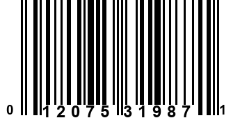 012075319871