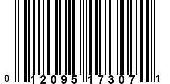 012095173071