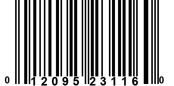 012095231160