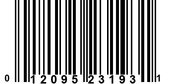 012095231931