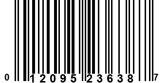 012095236387