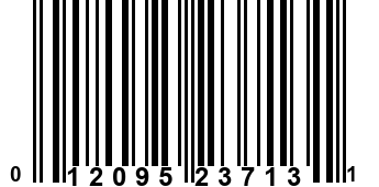 012095237131