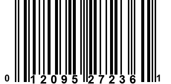 012095272361