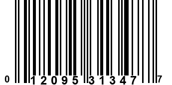 012095313477