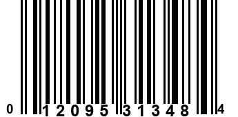 012095313484